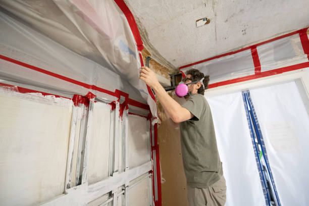 Best Biohazard Mold Removal  in Ben Lomond, CA