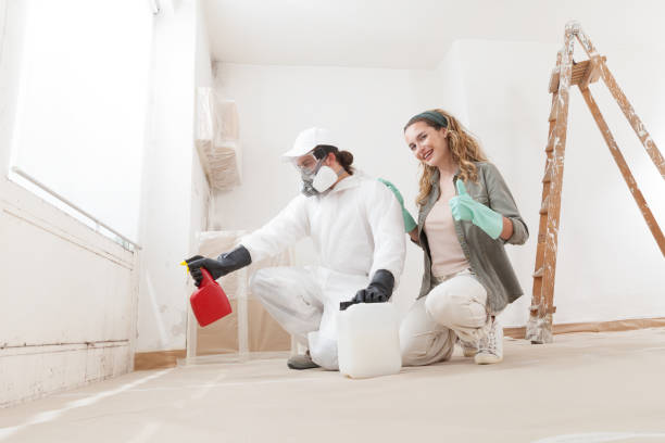 Best Mold Documentation for Insurance Claims  in Ben Lomond, CA