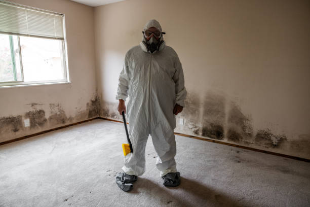 Best Mold Removal for HVAC Installations  in Ben Lomond, CA